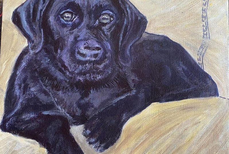 Black Dog