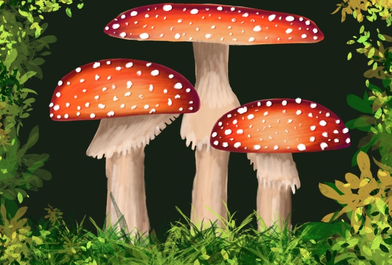 Mushrooms