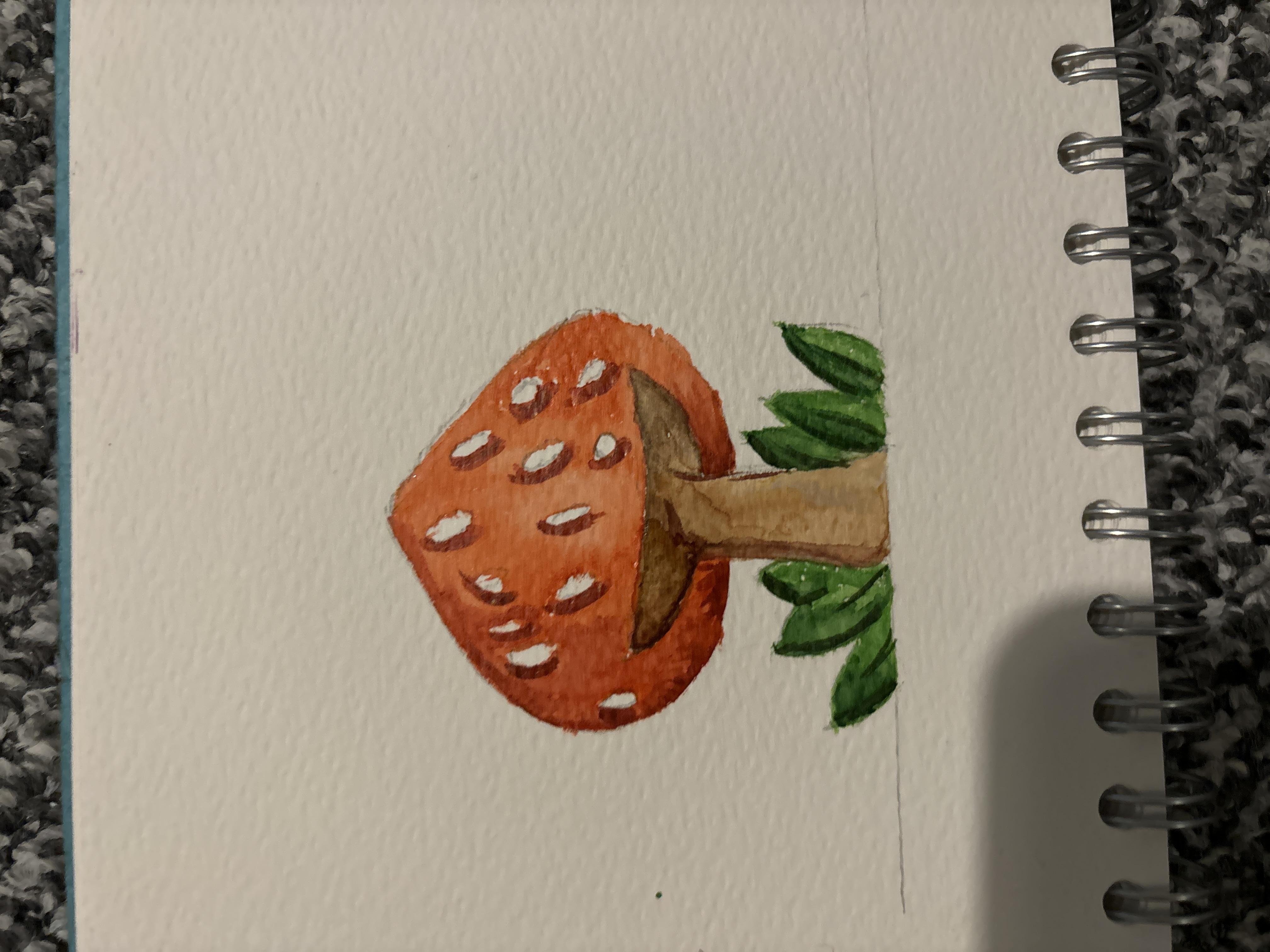 Mushroom - student project