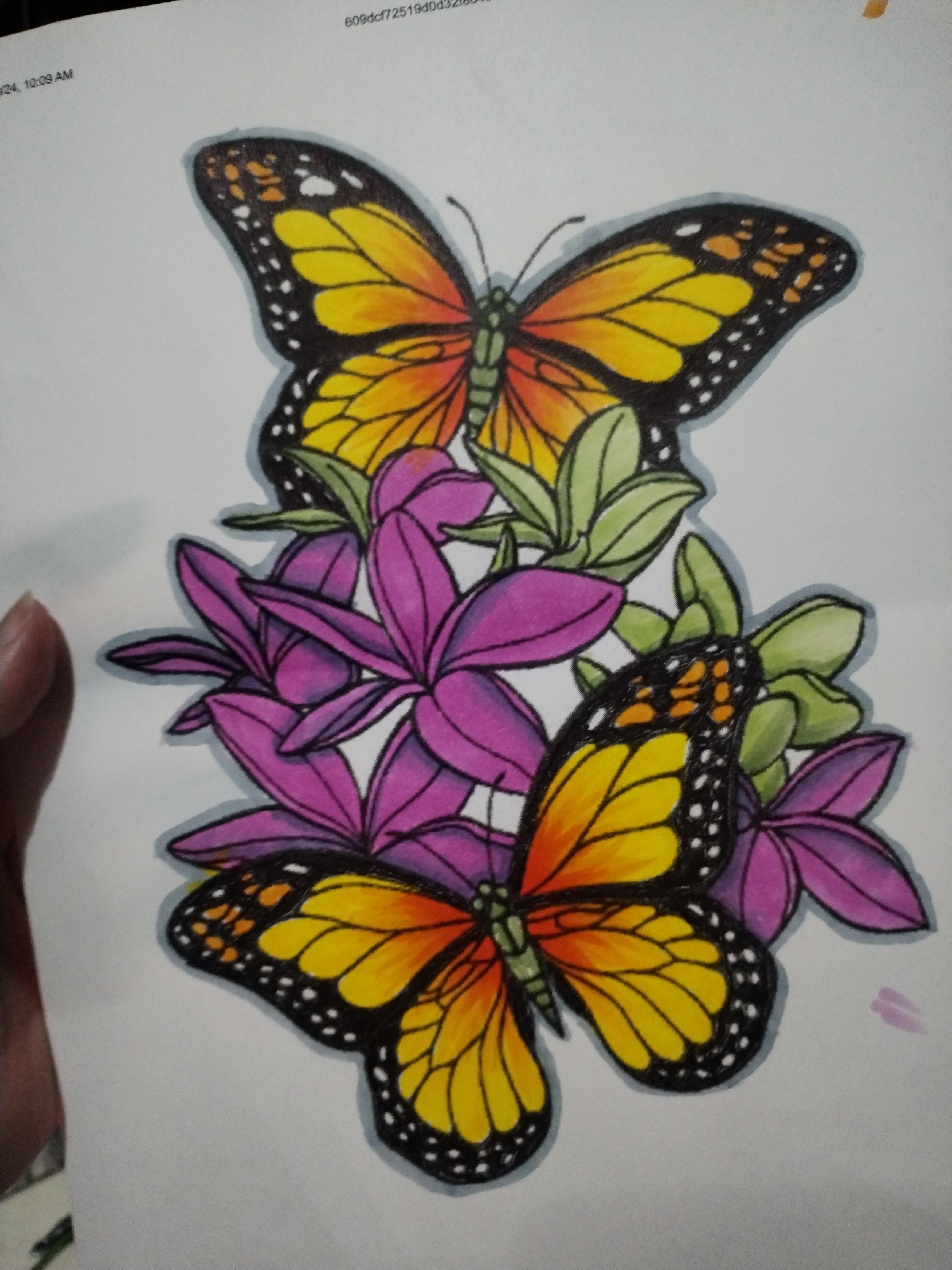 more-projects-from-class-img