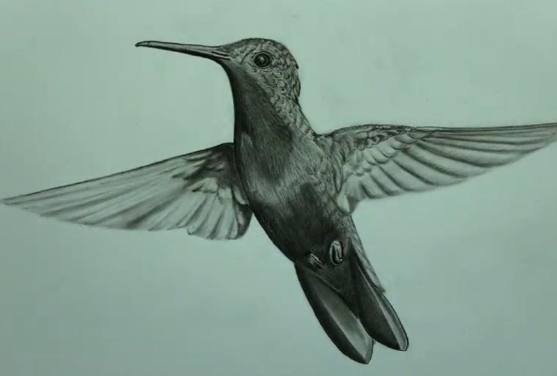 Teacher's Project