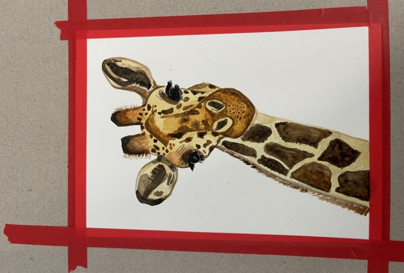 My lovely Giraffe