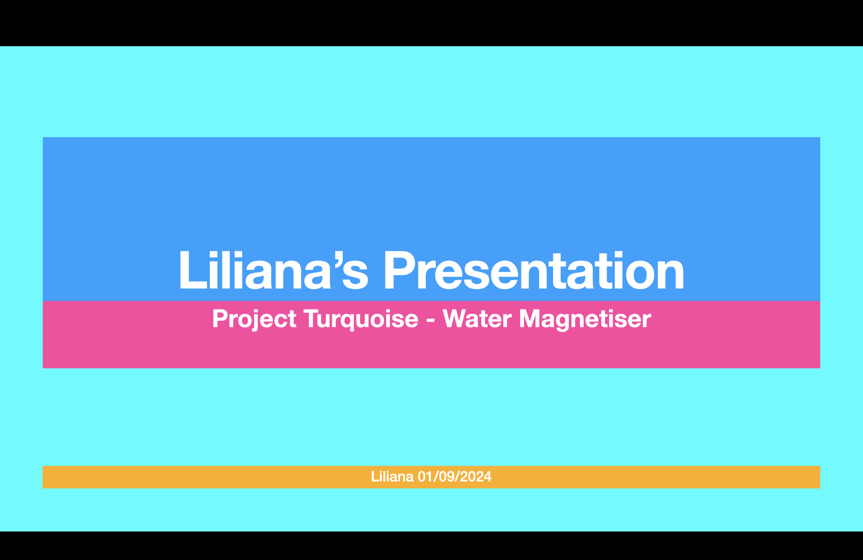 Liliana's 5 minutes presentation - student project