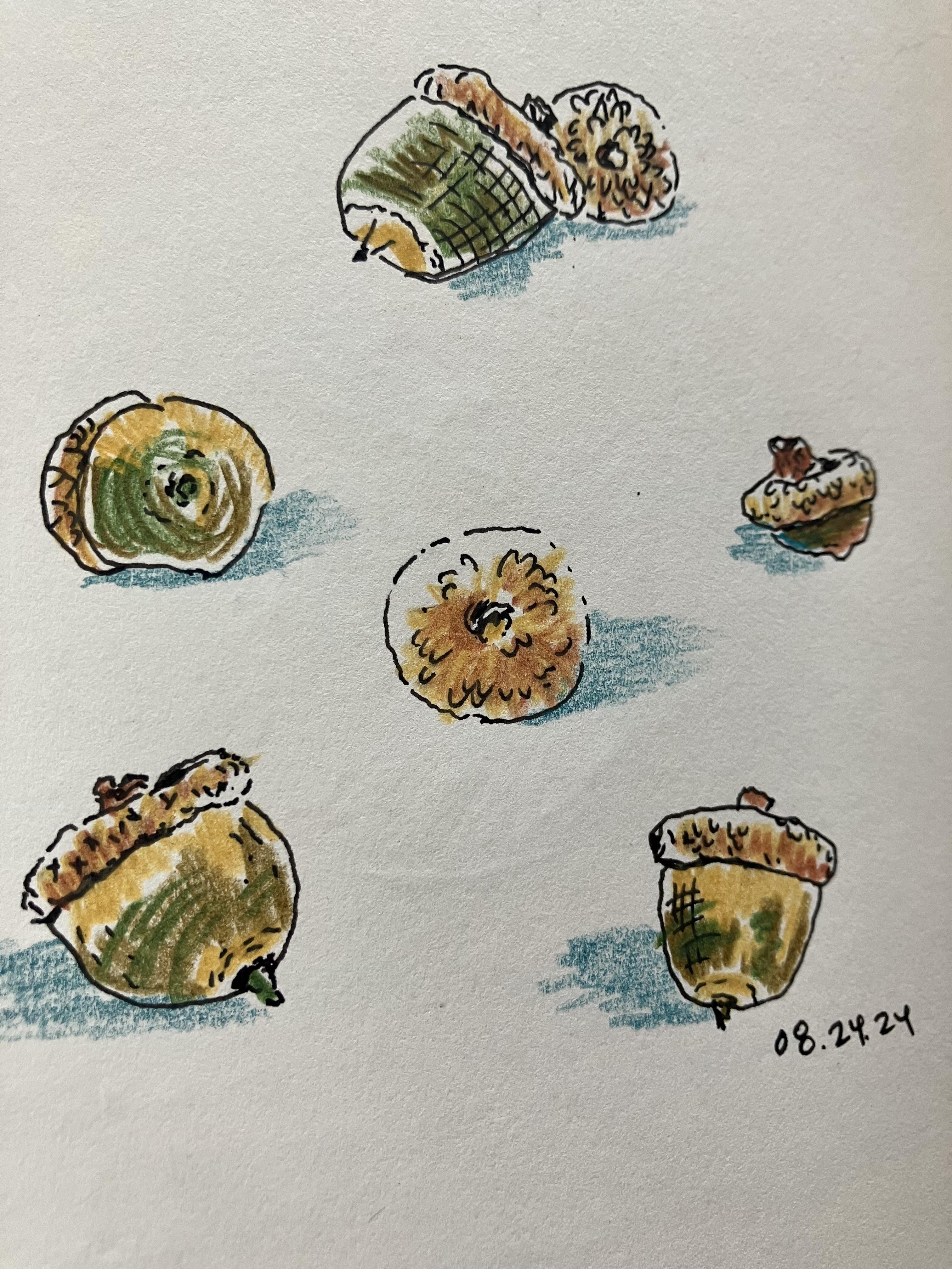 more-projects-from-class-img