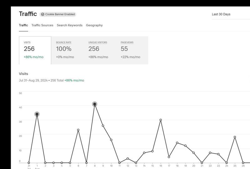 My personal traffic growth