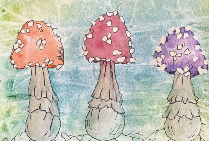Anatomy of a mushroom