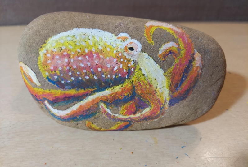 Octopus