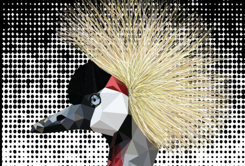 Gray Crowned Crane Low Poly Vector