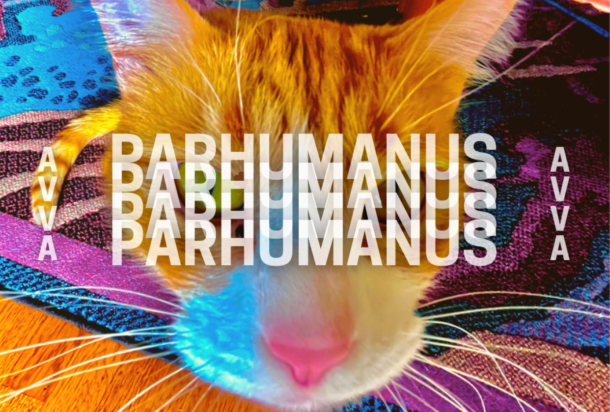 PARHUMANUS - student project