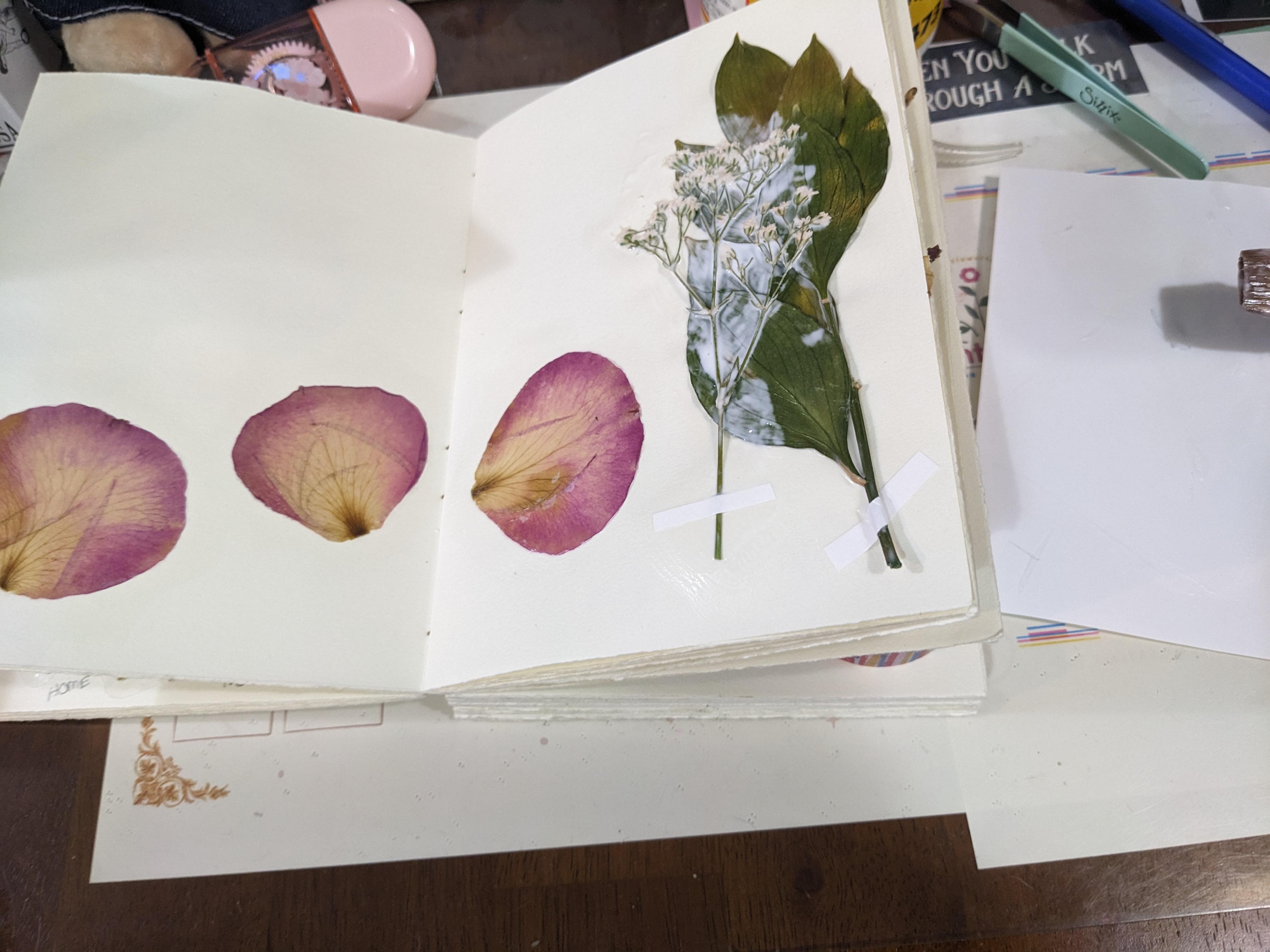 Journaling Pressed Flowers - student project