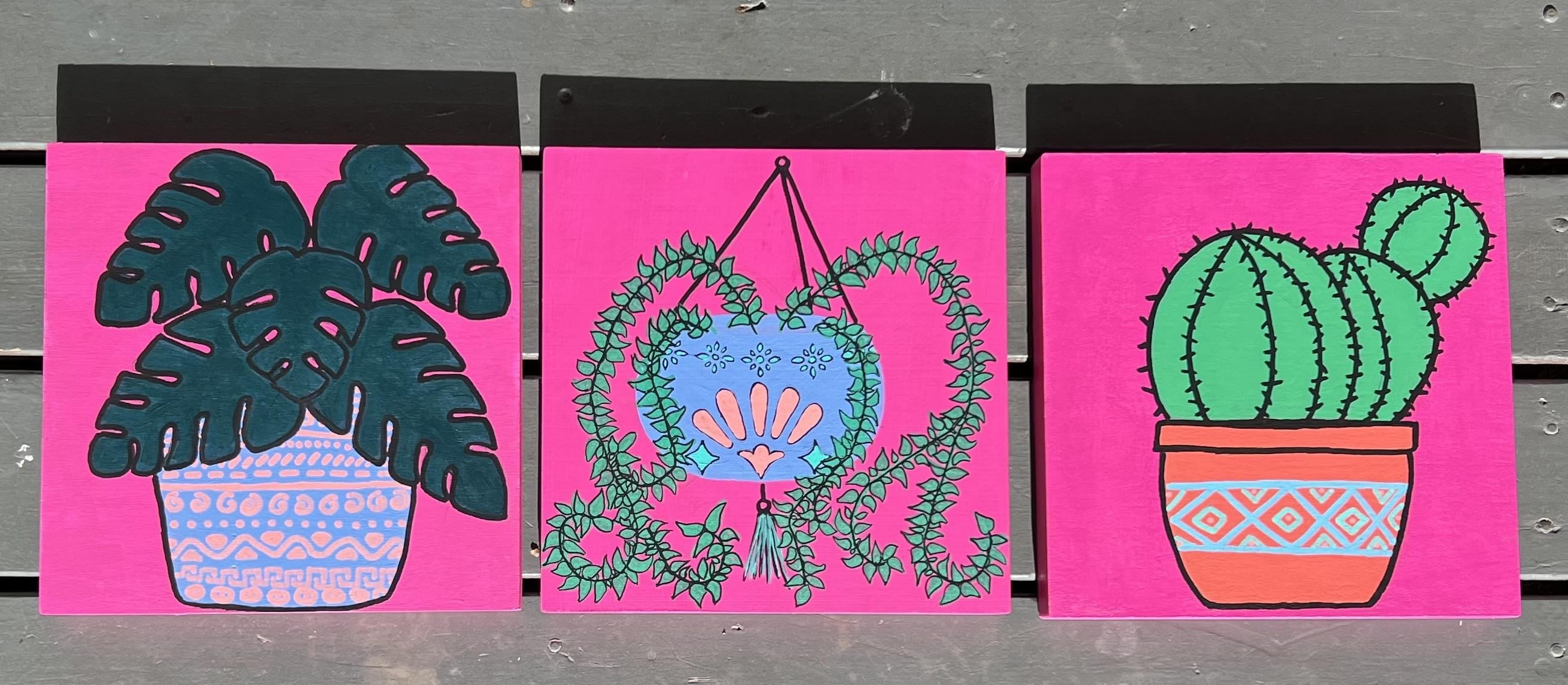 Plant collection - student project