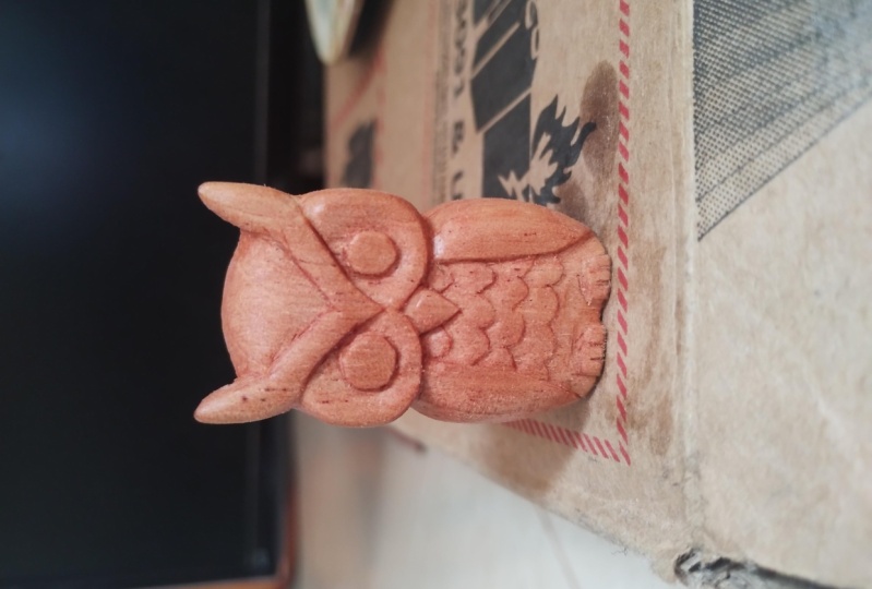 First owl