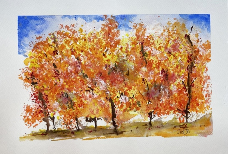 Autumn Forest