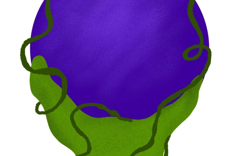 Crystal Ball of Learning