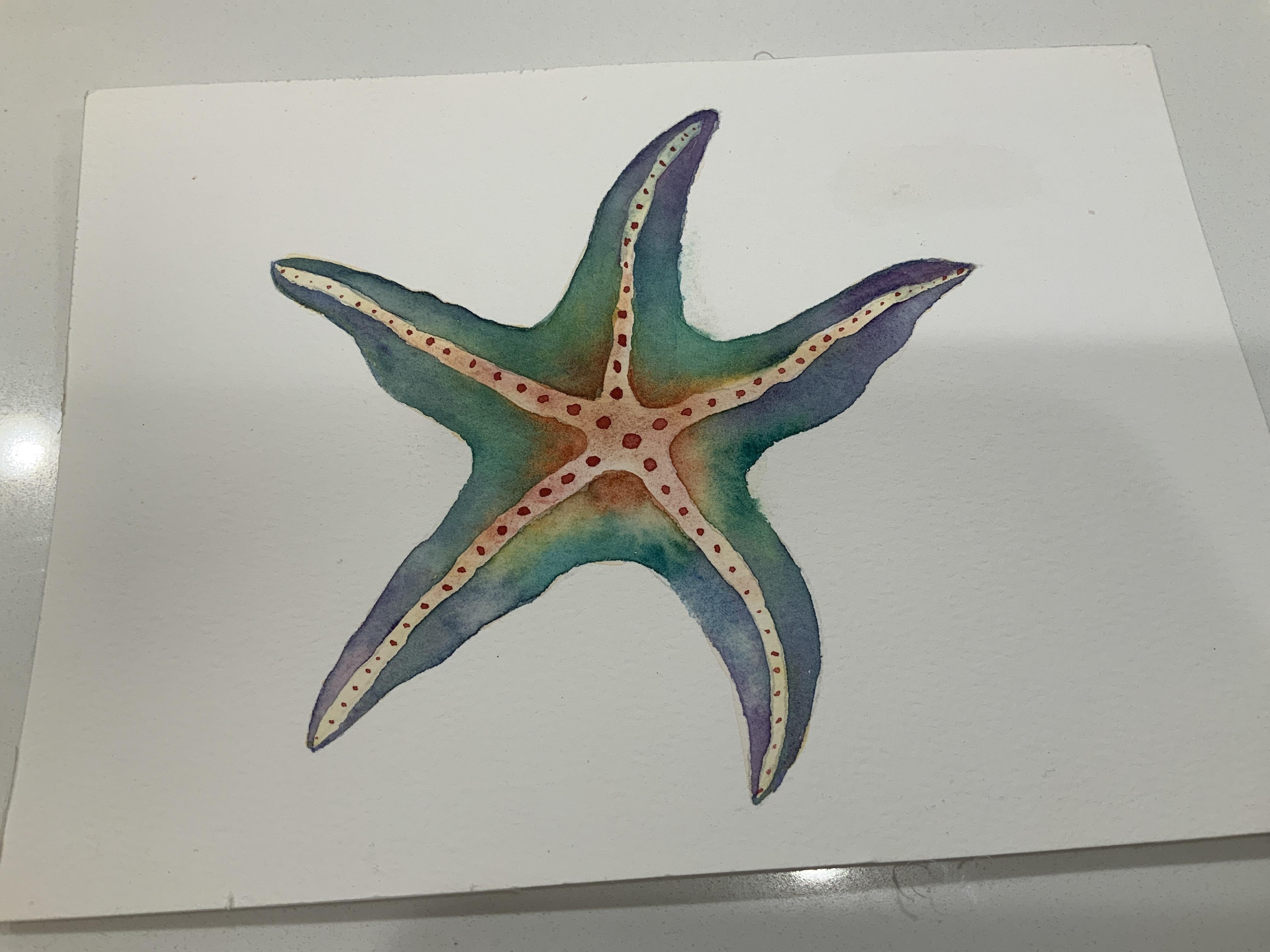 more-projects-from-class-img