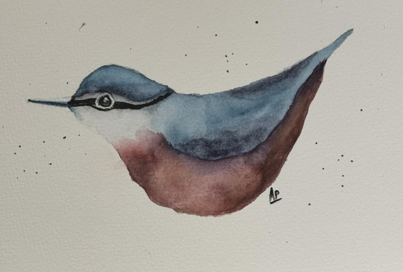 Simple bird in watercolour with Ola Alhamedy