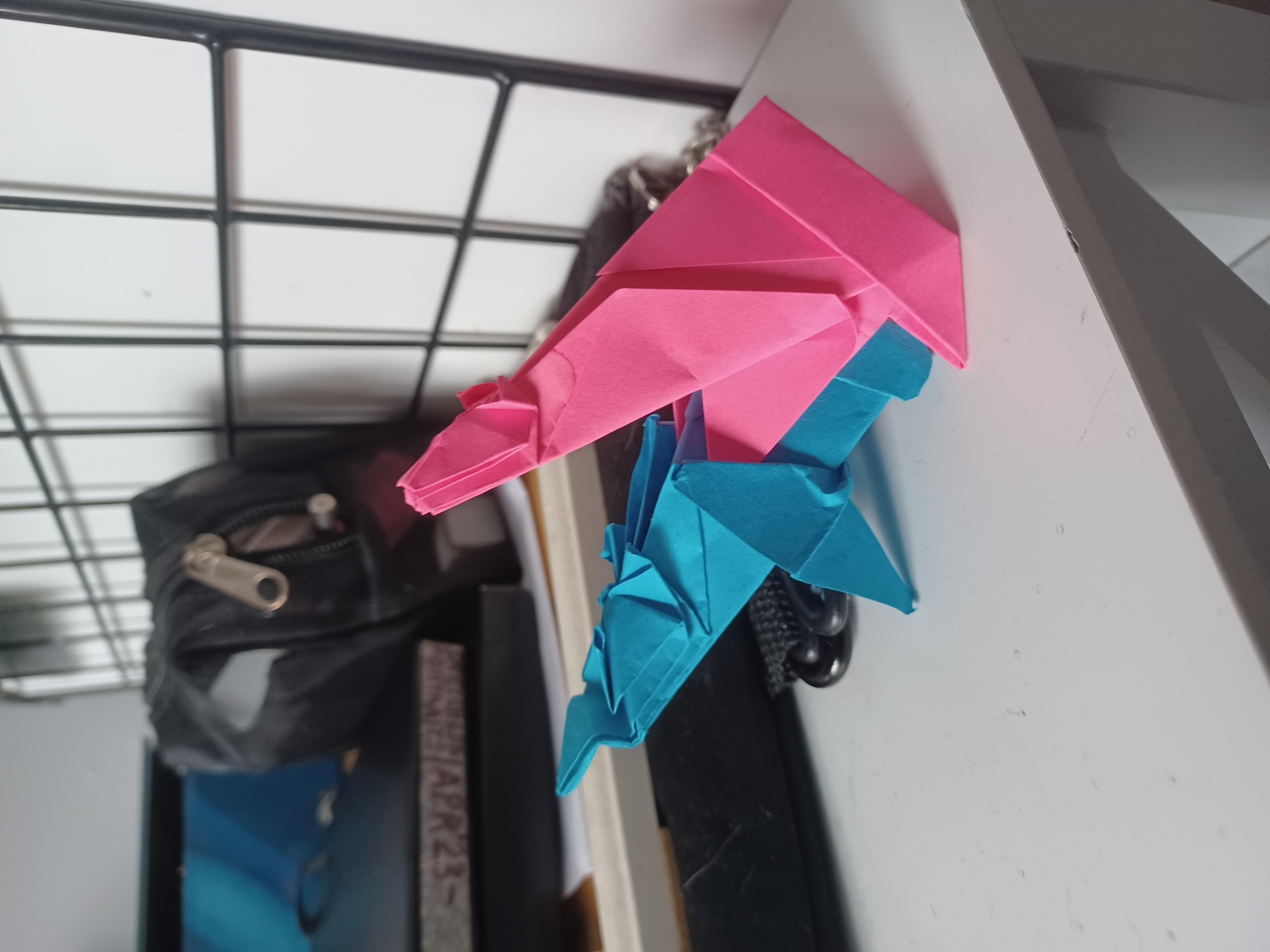 Two bears - student project