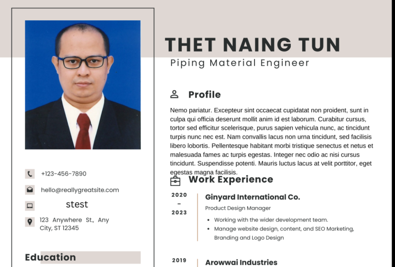 Thet Naing Tun Resume