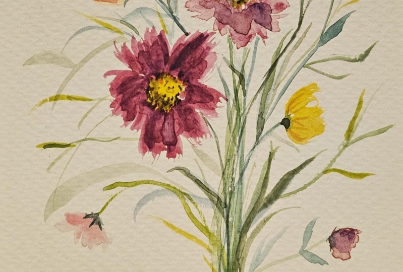 Cosmos and Pansies