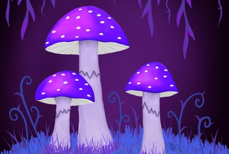 Whimsical Mushrooms