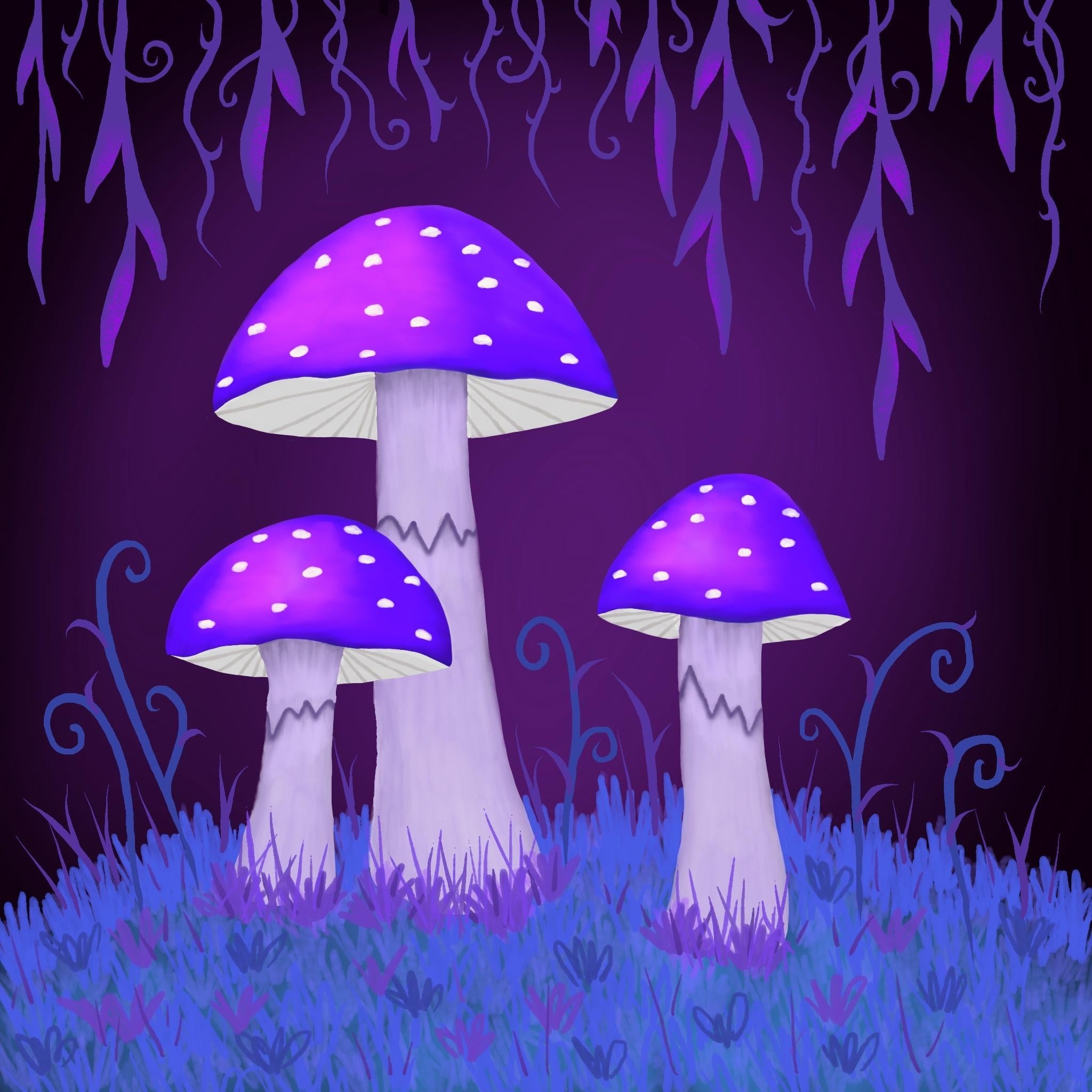 more-projects-from-class-img