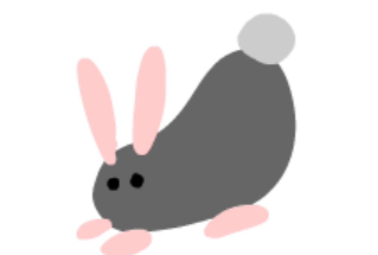 Bunny experiment