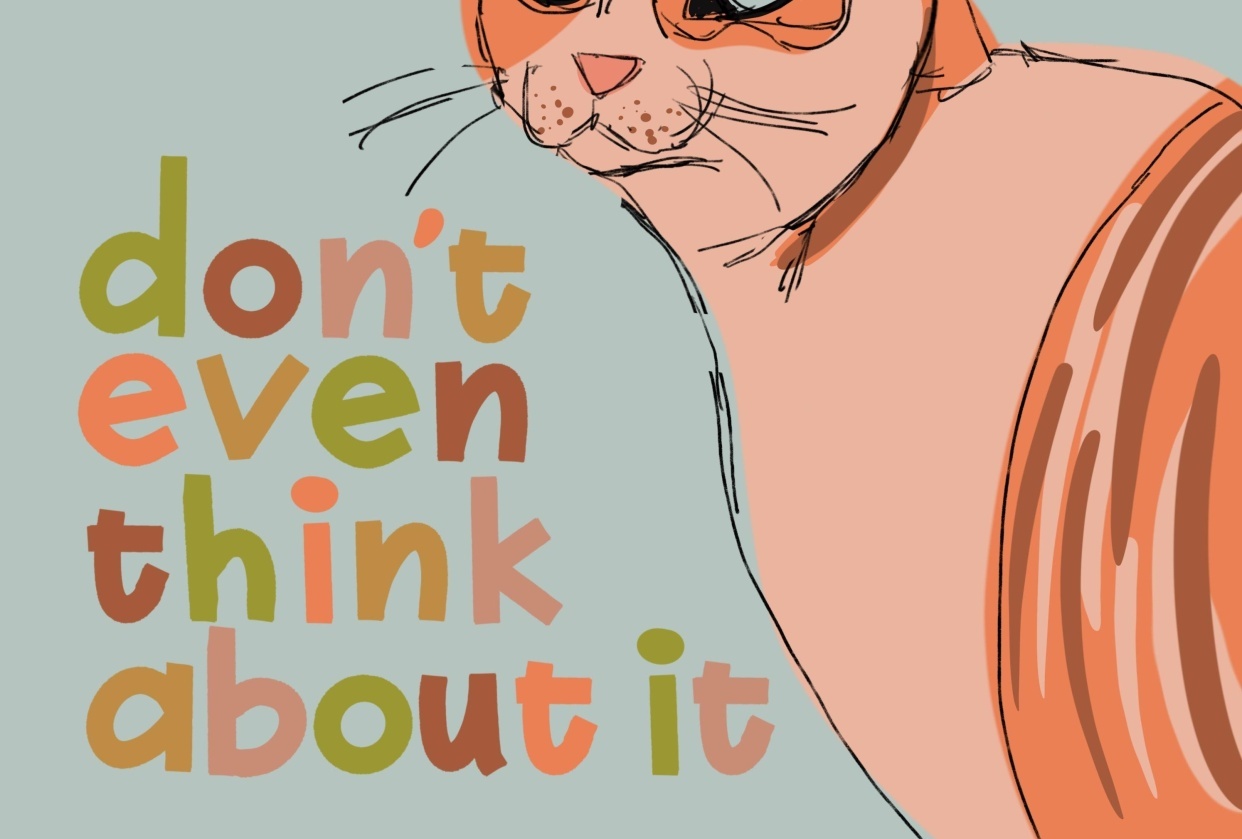 More cat! - student project