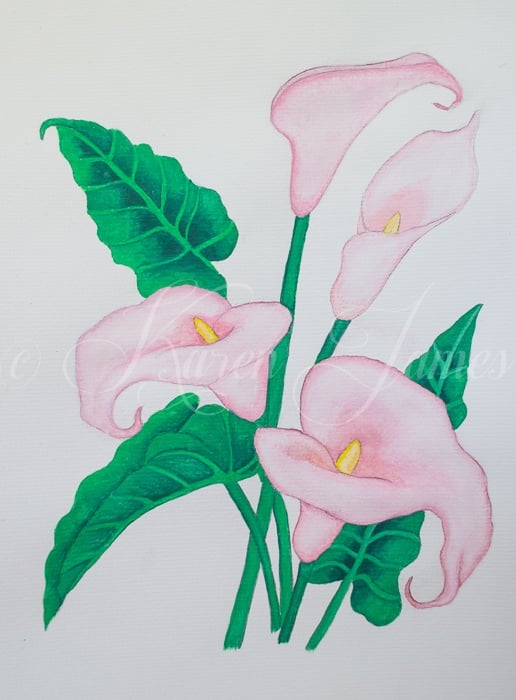 Lillies - student project