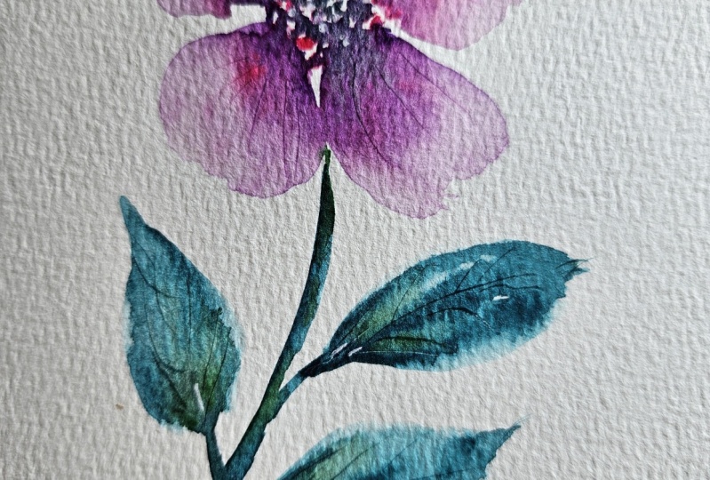 Flower with scratching