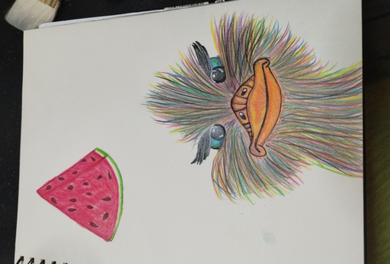 Notions de bases pour crayons de couleurs