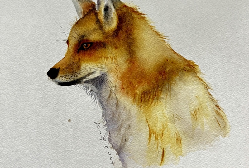 Mr. Fox