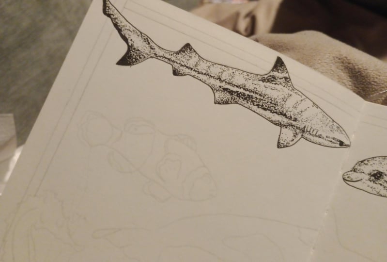 Stippling shark