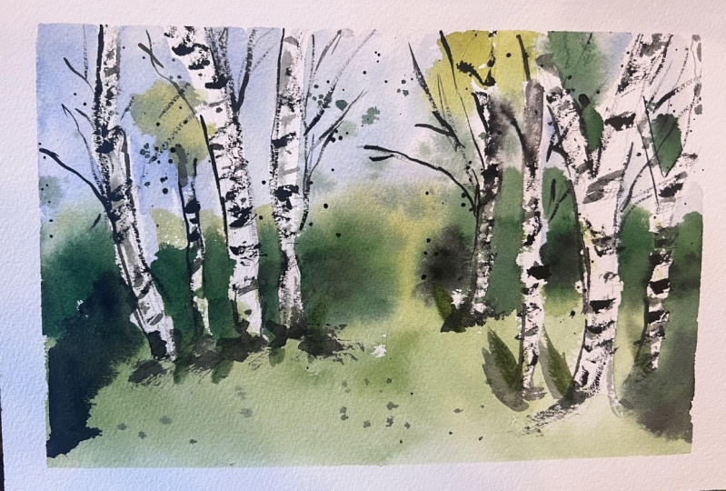 Birch trees