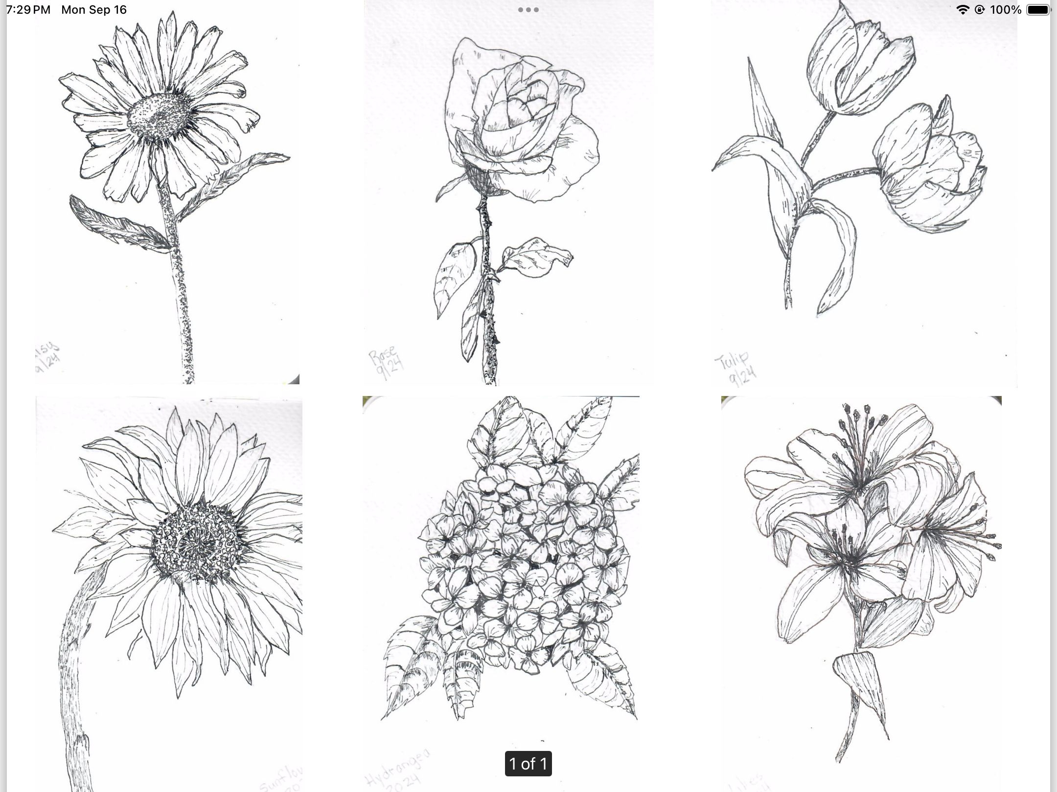 more-projects-from-class-img