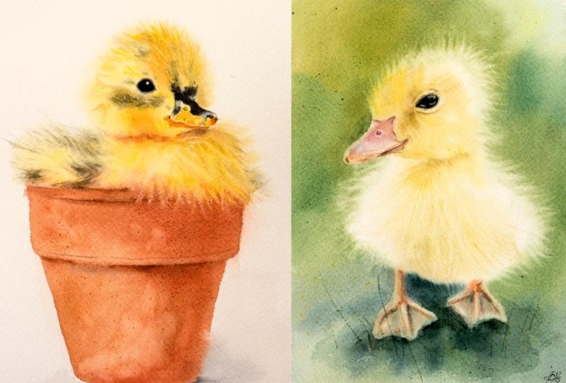 Hair, Fur and Down In Watercolor - Fluffy Duckling