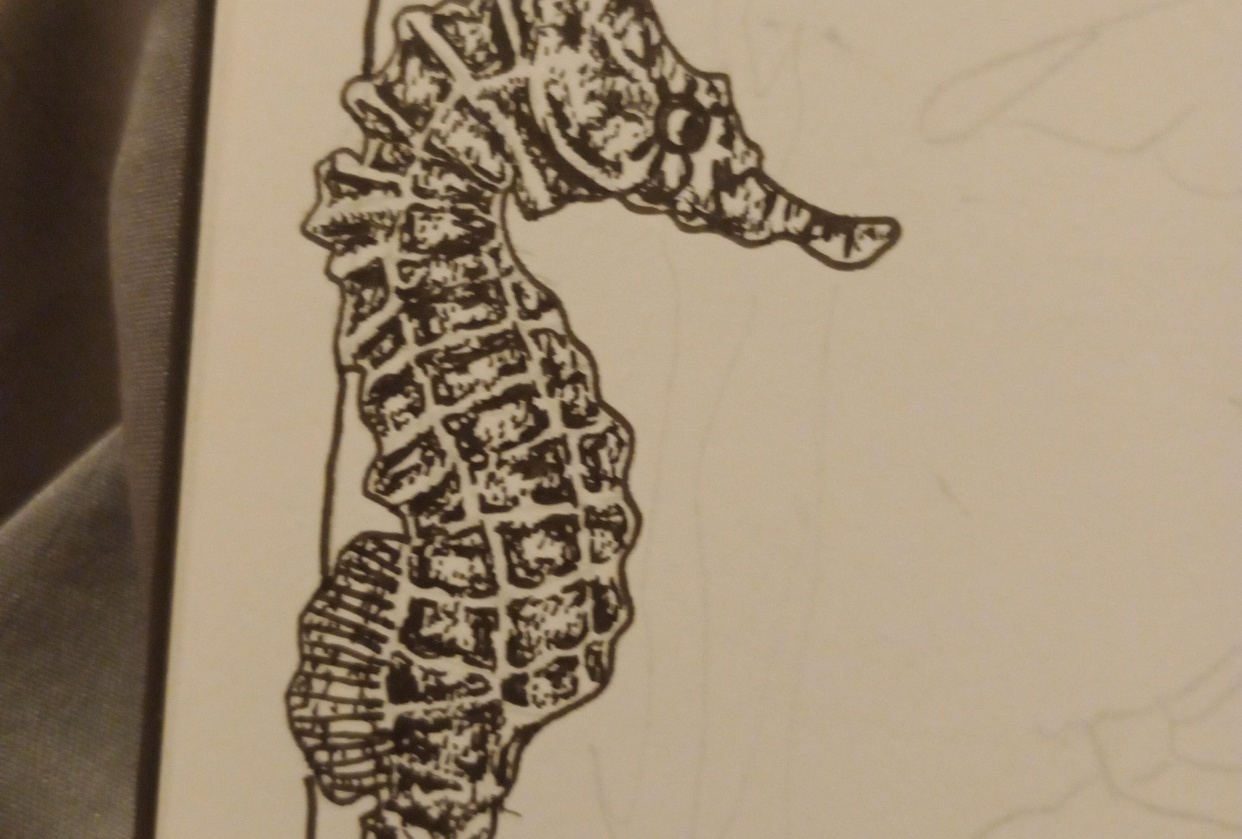 Teeny tiny seahorse - student project