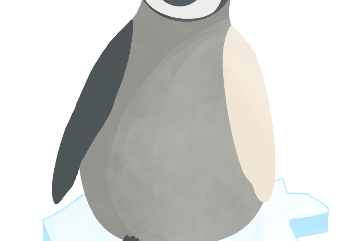 Penguin - student project
