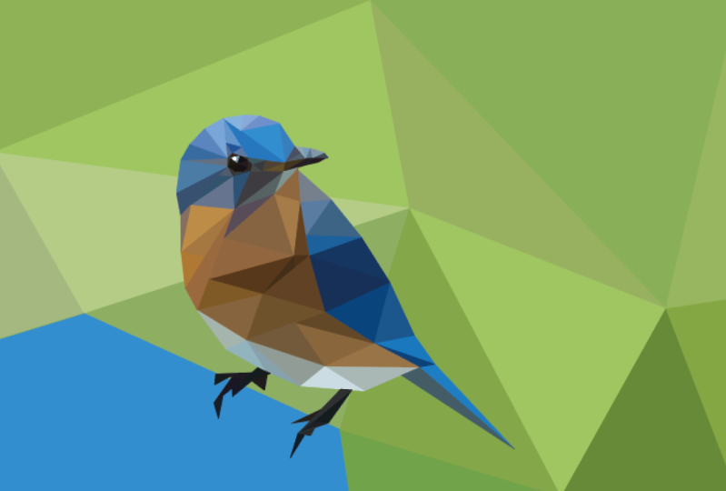 Blue bird