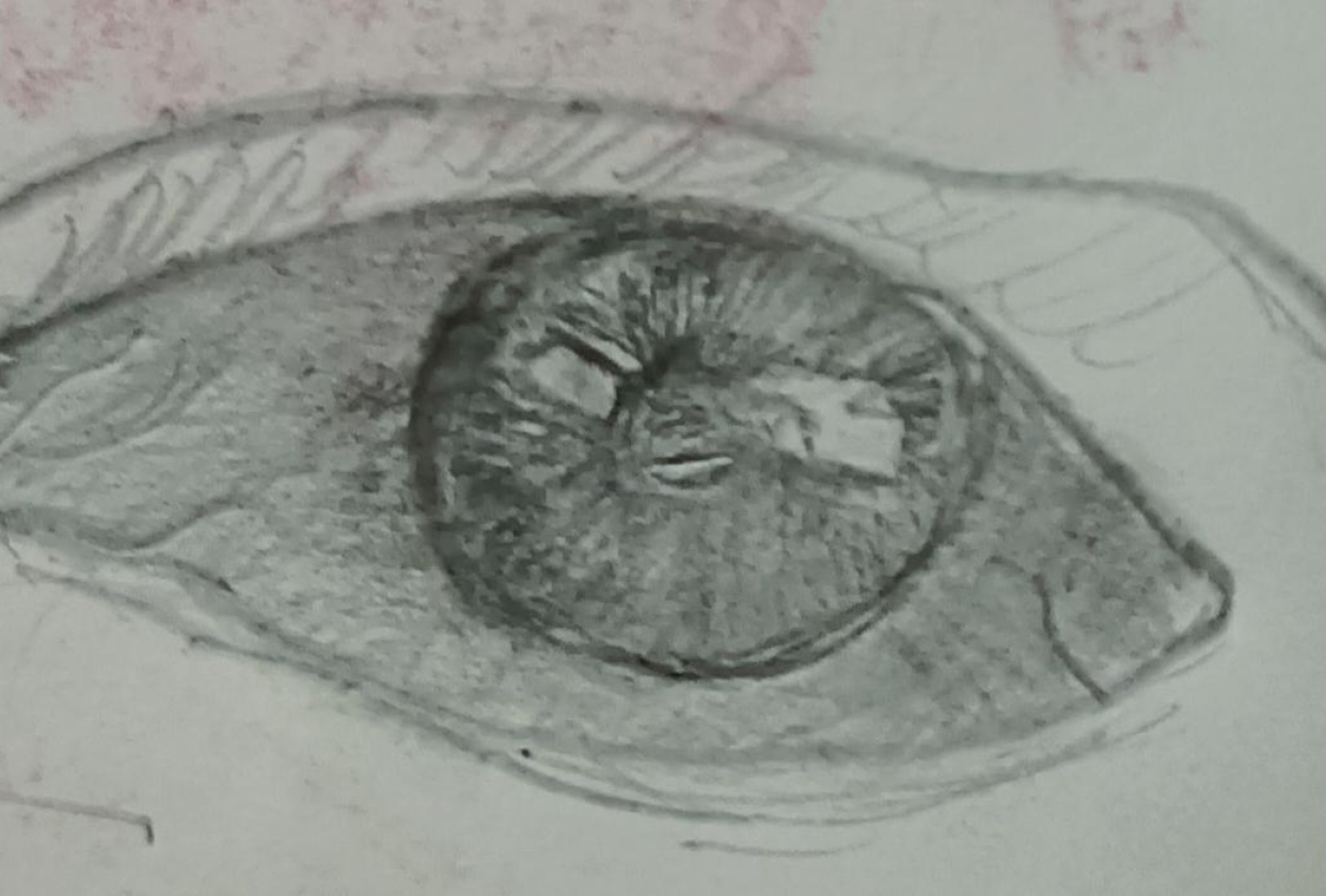 Project eye - student project