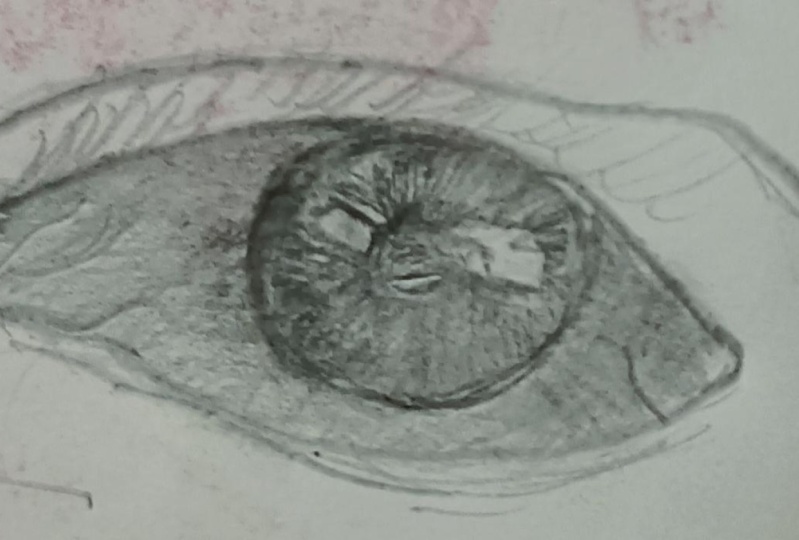 Project eye