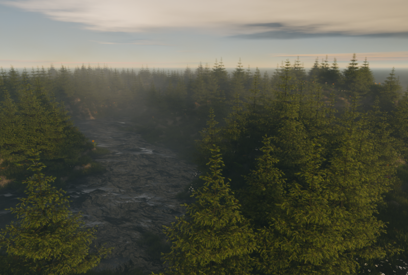 Misty Forest in the Morning