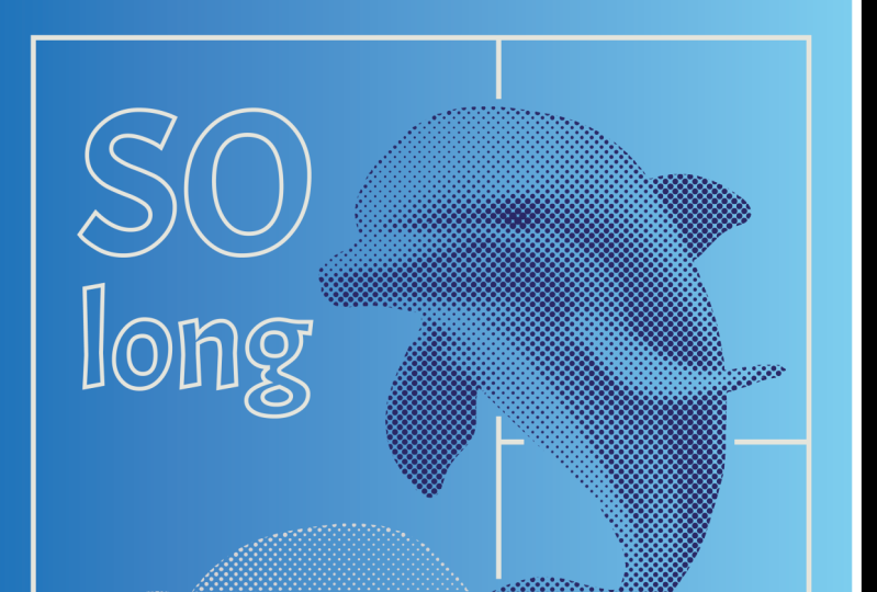 Dolphins Poster