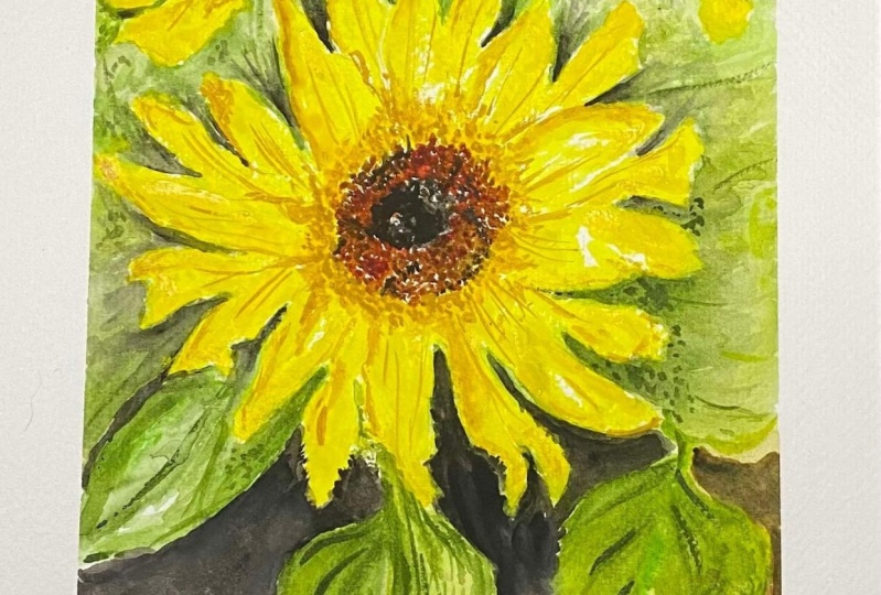 Sunflowers