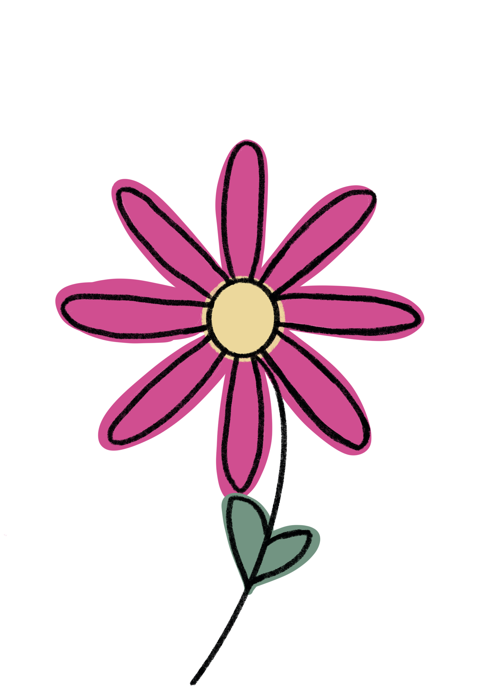more-projects-from-class-img