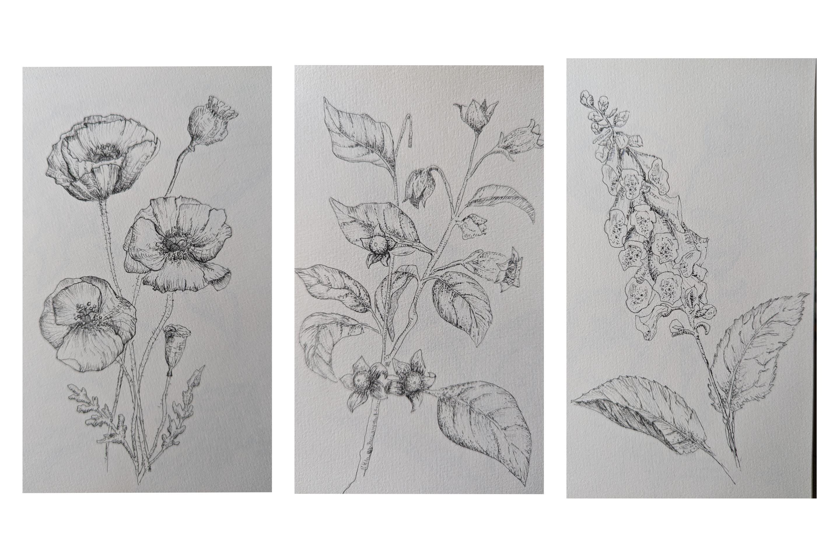 more-projects-from-class-img