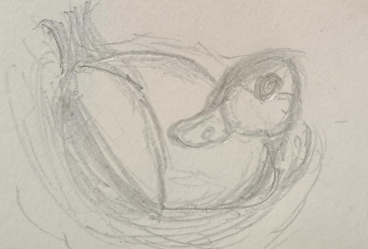 Project Duck - student project