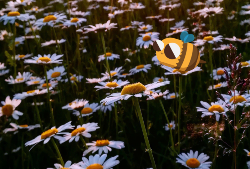 My wee bee bio