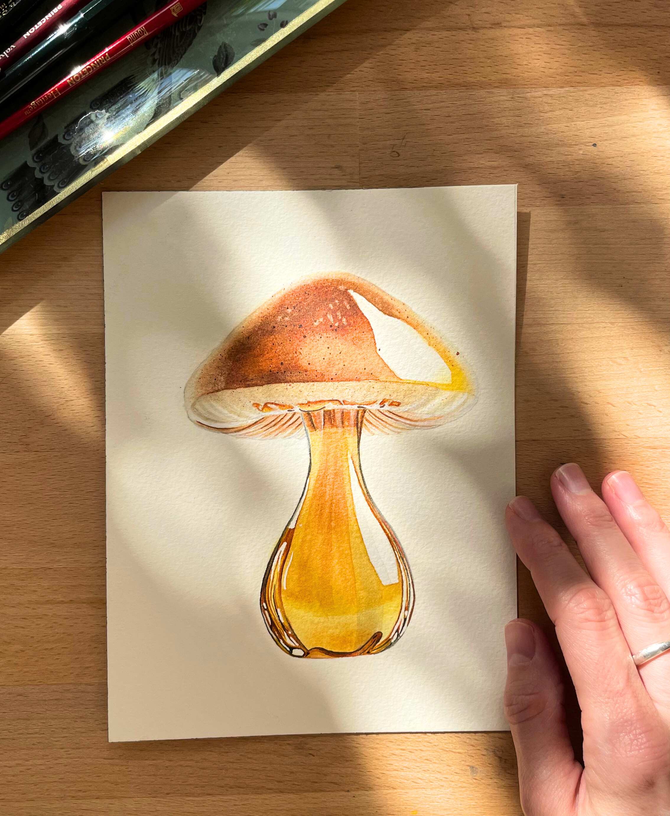 Glass Mushroom - student project