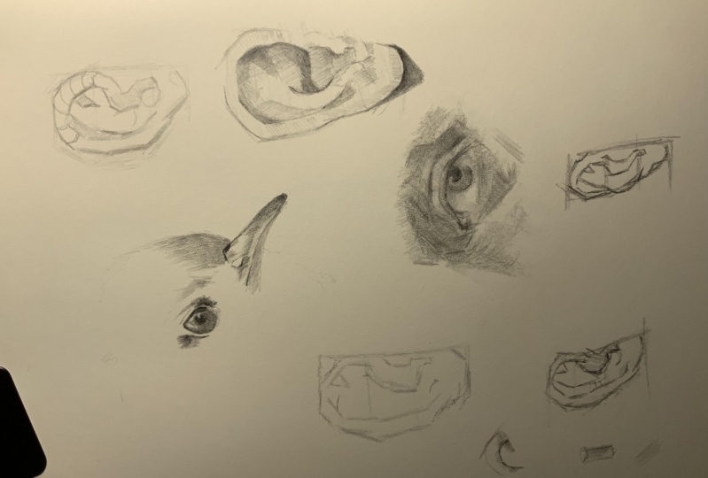 Sketchbook