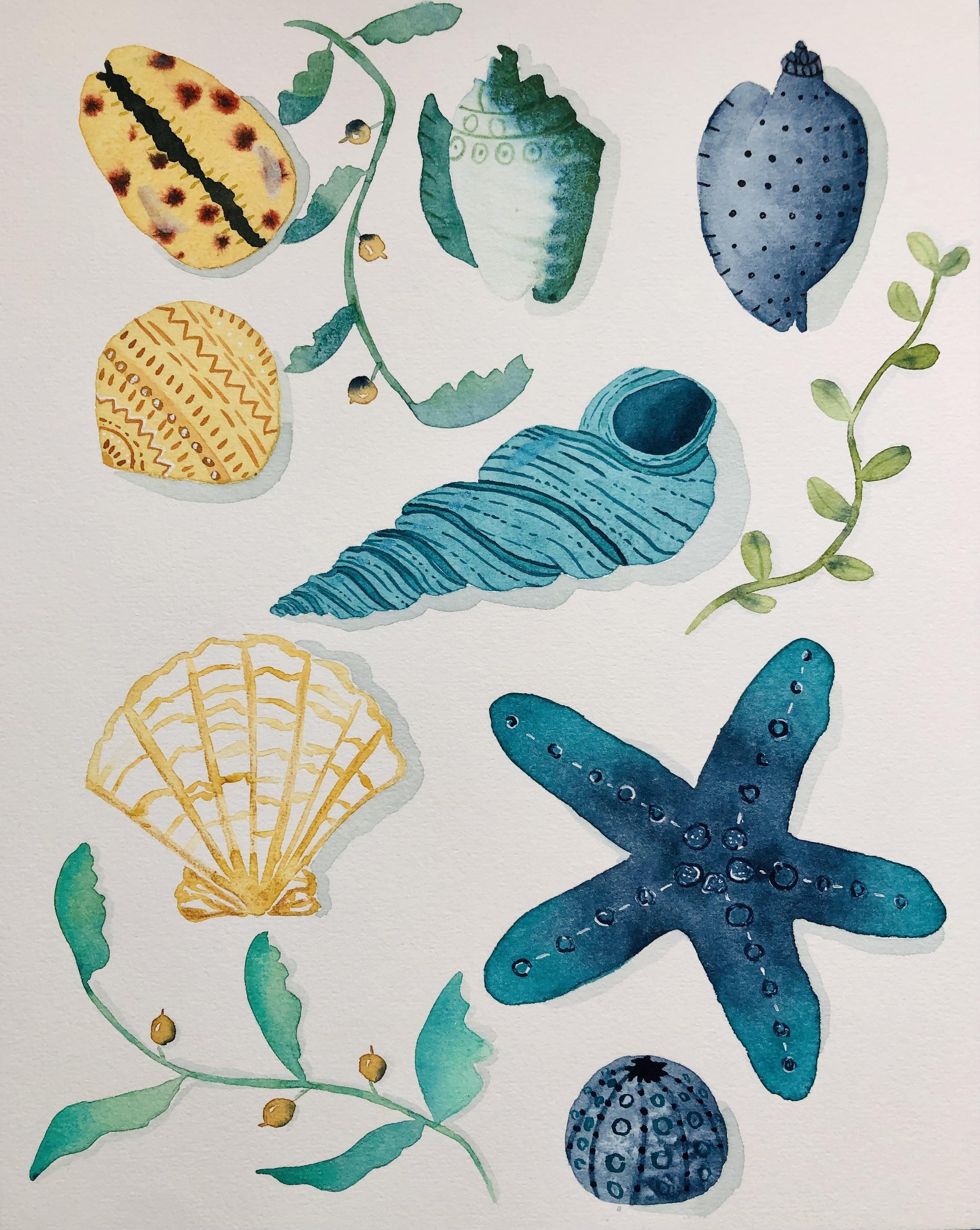 more-projects-from-class-img